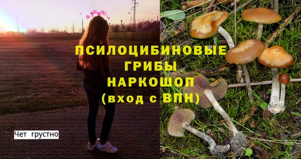 мескалин Медногорск