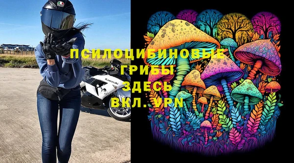 дурь Медвежьегорск