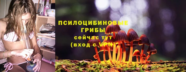 дурь Медвежьегорск